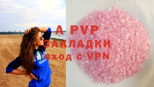 стафф Алзамай